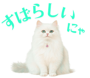 763608187