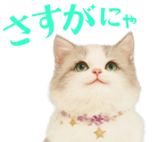 763608200
