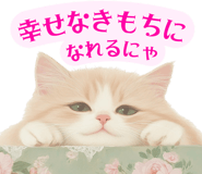763608208