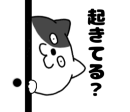 763616277