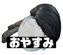 763617720