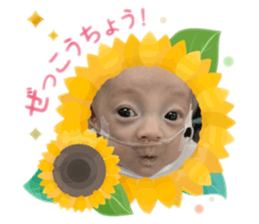 763634612