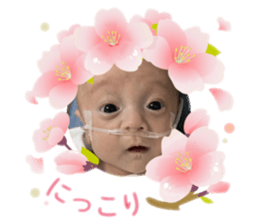 763634613