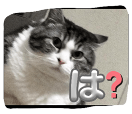 763634727