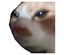 763640718