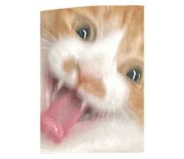 763640722