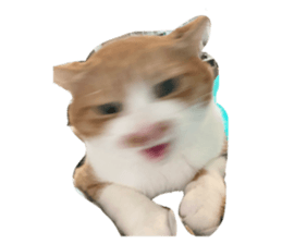 763640725