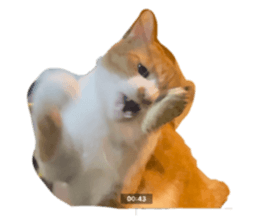763640730