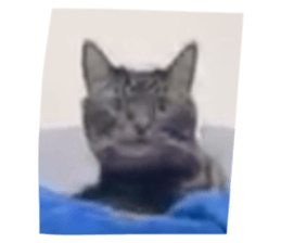 763640734