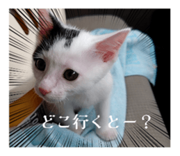 763644270
