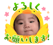 763644445
