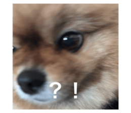 763647527