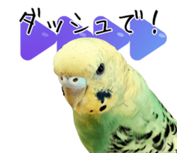 763662440