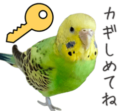 763662442