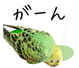 763662448