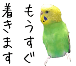 763662456
