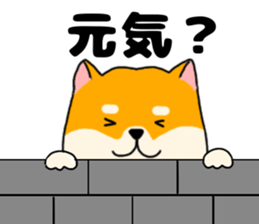 763663287