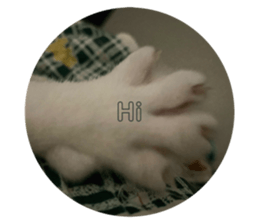 763669178