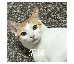 763669188