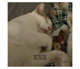 763669194