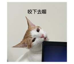 763669197