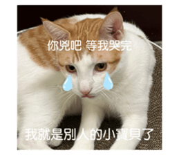 763669205