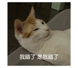 763669207