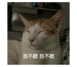 763669208