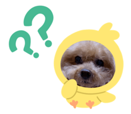 763675466