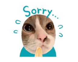 763679314