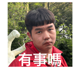 763680381