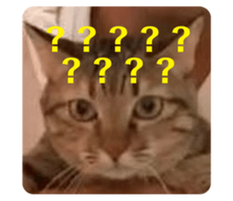 763680462