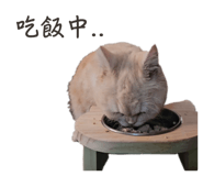 763681053