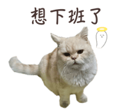 763681062