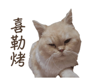 763681064