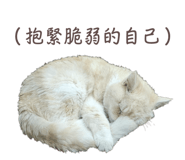 763681067