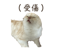 763681070
