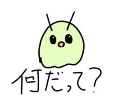763681666