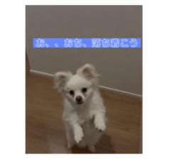 763683187