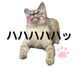 763685666