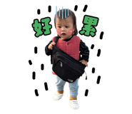 763687797