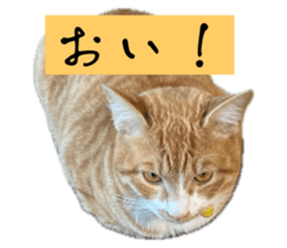 763690475