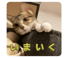 763695410