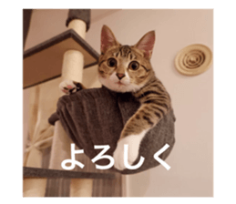 763695418