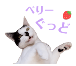 763698990