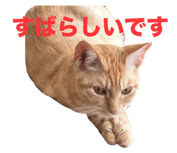 763700087