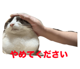 763700088