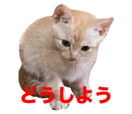 763700091