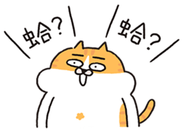 763701987