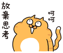 763701990
